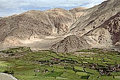  The valley leading to Changla - Ladakh